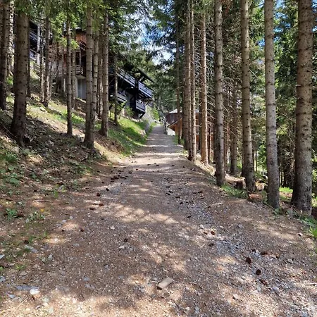 Apartma Kadulja Golte Daire Mozirje